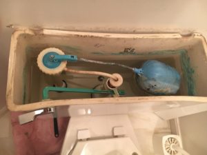 Toilet Tank Leak