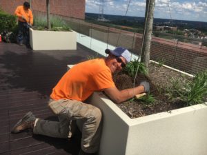 Leak Repair at Christ Hospital Roof Garden